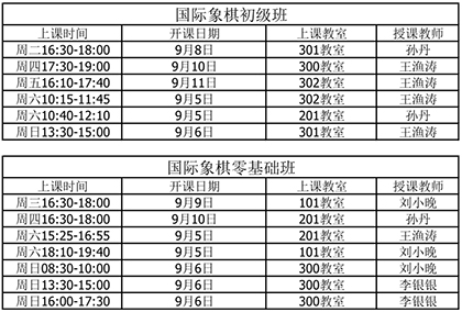 北京市东城区国际象棋培训